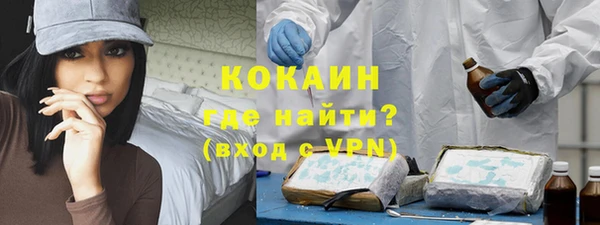 прущие грибы Михайловка