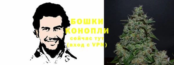 прущие грибы Михайловка