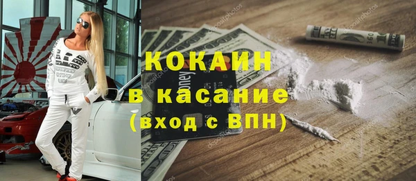 прущие грибы Михайловка