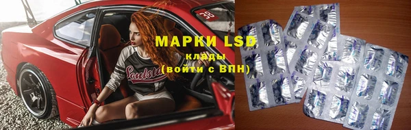 прущие грибы Михайловка