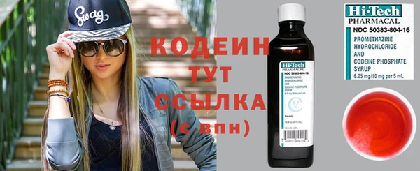 прущие грибы Михайловка