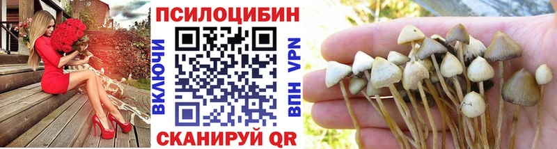 Купить  Алушта  Галлюциногенные грибы прущие грибы 