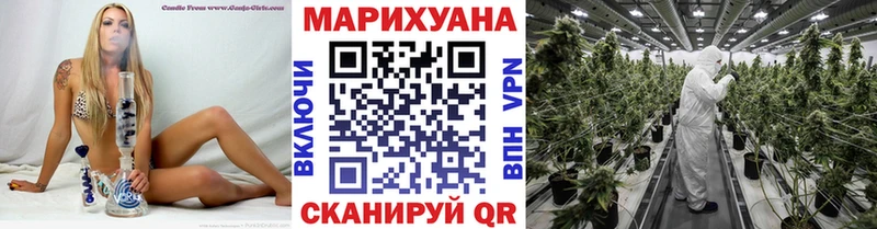 Купить  Алушта  Каннабис Bruce Banner 